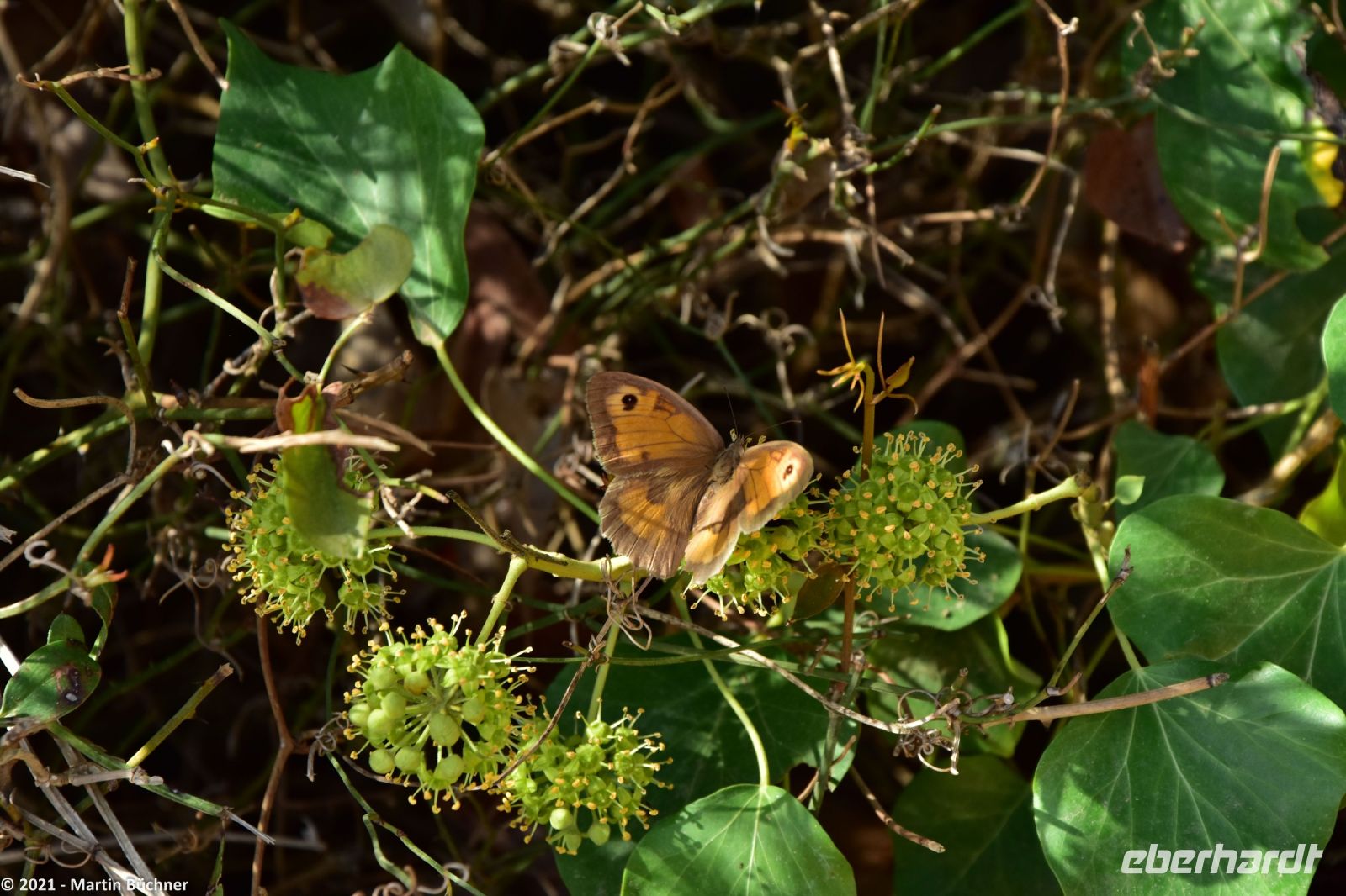 Wanderreise Menorca - Wanderung 2 - Kulturlandschaft Menorca