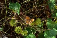 Wanderreise Menorca - Wanderung 2 - Kulturlandschaft Menorca