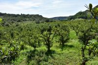 Wanderreise Menorca - Wanderung 2 - Kulturlandschaft Menorca