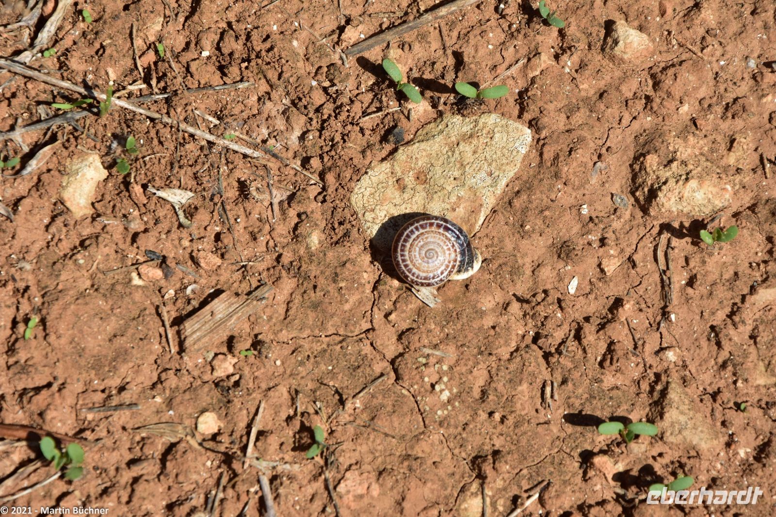 Wanderreise Menorca - Wanderung 2 - Kulturlandschaft Menorca