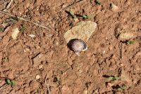 Wanderreise Menorca - Wanderung 2 - Kulturlandschaft Menorca