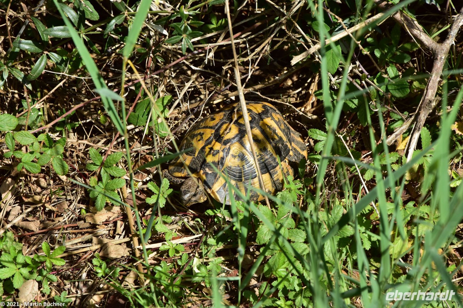 Wanderreise Menorca - Wanderung 2 - Kulturlandschaft Menorca