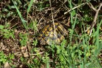 Wanderreise Menorca - Wanderung 2 - Kulturlandschaft Menorca