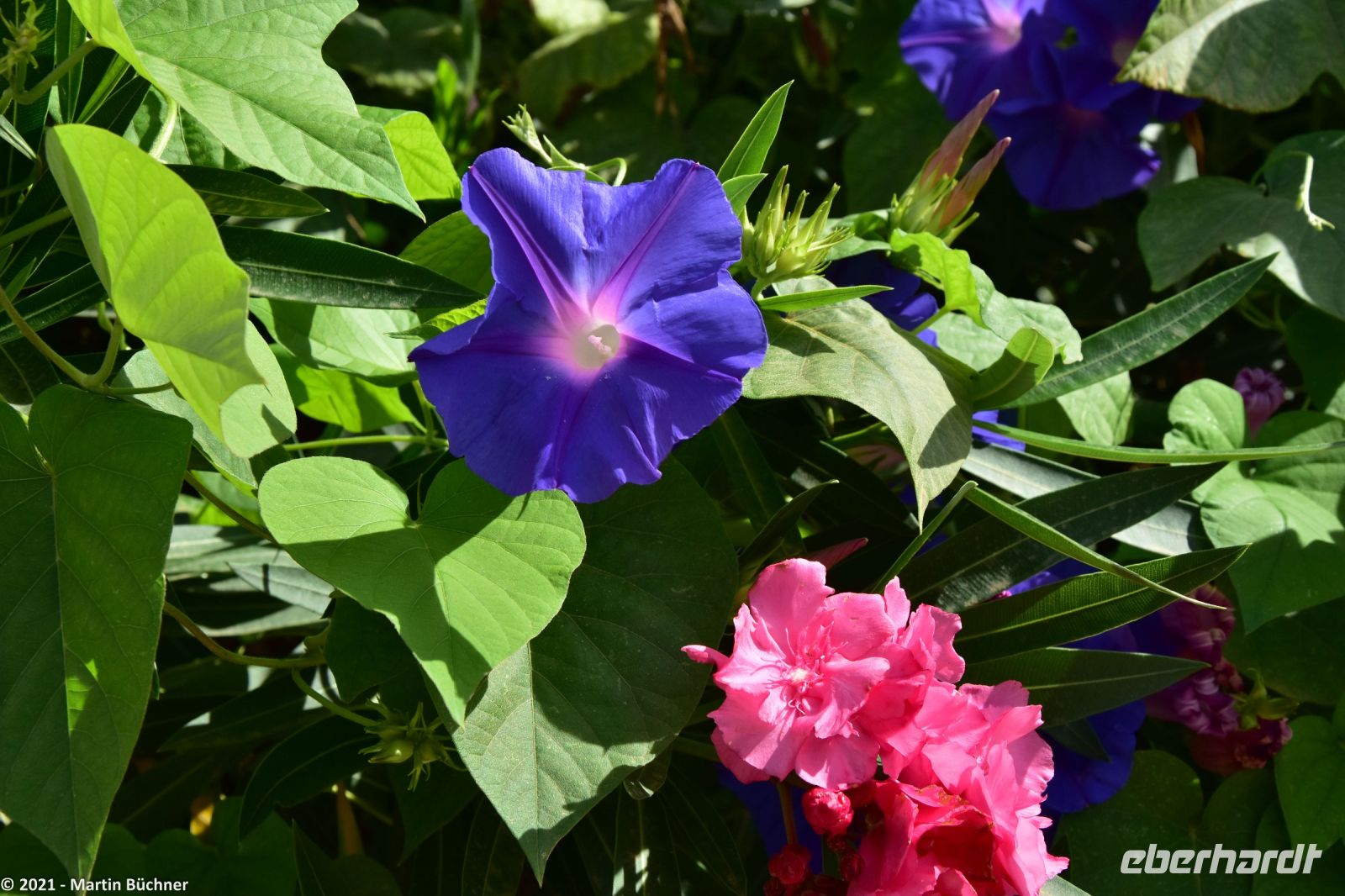 Wanderreise Menorca - Wanderung 2 - Kulturlandschaft Menorca