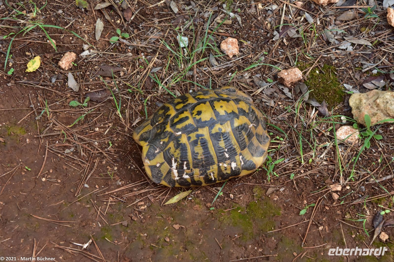 Wanderreise Menorca - Wanderung 2 - Cala en Porter