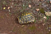 Wanderreise Menorca - Wanderung 2 - Cala en Porter