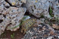 Wanderreise Menorca - Wanderung 2 - Cala en Porter