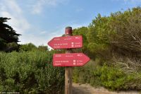 Wanderreise Menorca - Wanderung 3 - Cap de Favàritx - Platja de Capifort