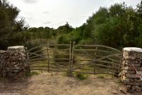 Wanderreise Menorca - Wanderung 3 - Es Grau