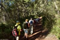Wanderreise Menorca - Wanderung 4 - Sant Tomás - Platja es Trenc