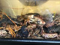 Santiago de Compostela 