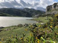 Covadonga-See 