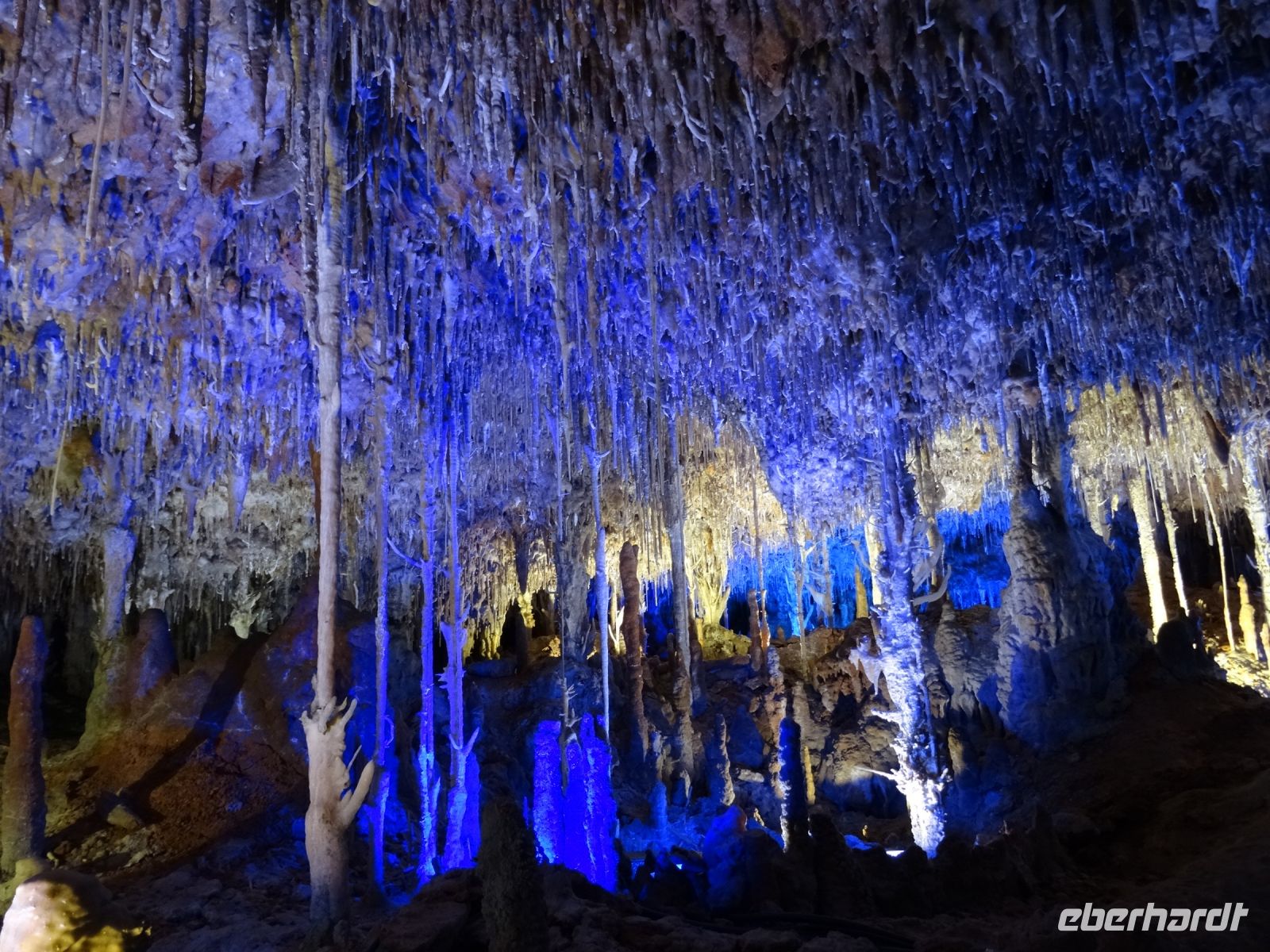 Hams - Höhle in Porto Christo
