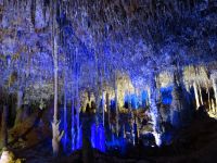 Hams - Höhle in Porto Christo