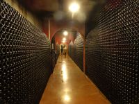 Lagerraum in der Bodega