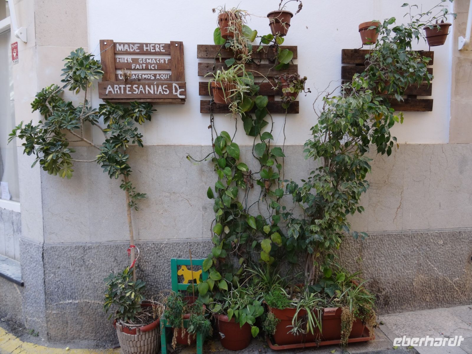 Alcudia - Pflanzenschmuck in den Gassen