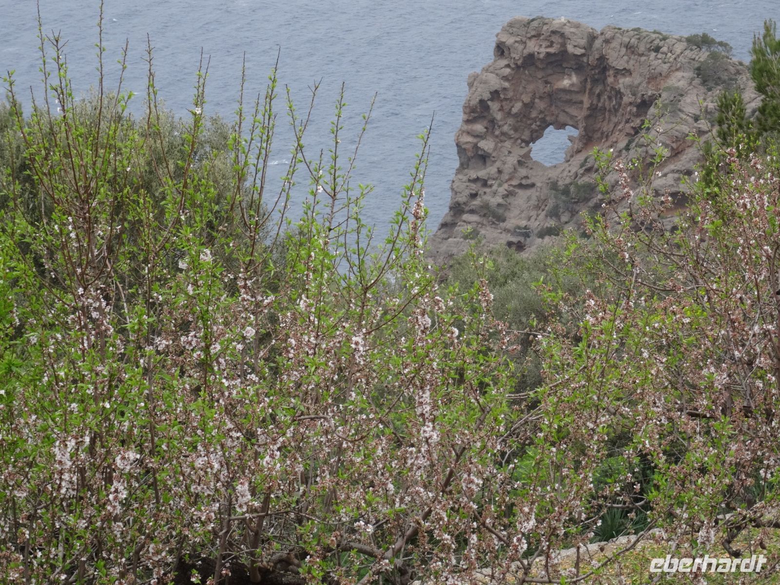 Landgut - Mandelblüte und das 