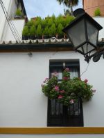 Sevilla Jüdisches Viertel