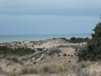 Donana Nationalpark