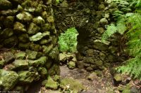 Wanderung durch den märchenhaften Lorbeerwald - Eine Wasserleitung