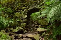Wanderung durch den märchenhaften Lorbeerwald - Eine Wasserleitung