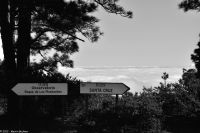 Über den Nordostpassat-Wolken der Kanaren