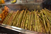 Santa Cruz de La Palma - Historische Markthalle - Verkauf von Zuckerrohr Produkten