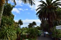 Santa Cruz de La Palma - Finca de la Principal