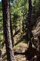 Wanderung am Mirador de la Cumbrecita