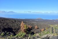 La Palma - Vulkanausbruch im Herbst 2021 - das neue gigantische Lavafeld, dort wo vorher Häuser und Betriebe lagen