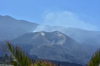 La Palma - Tajuya