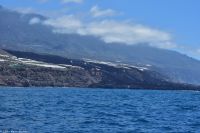 Whale Watching Tour in Tazacorte - der neue Lavastrom mündet im Meer