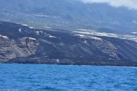 Whale Watching Tour in Tazacorte - der neue Lavastrom mündet im Meer