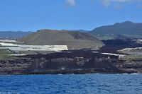 Whale Watching Tour in Tazacorte - der neue Lavastrom mündet im Meer