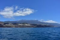 Whale Watching Tour in Tazacorte - der neue Lavastrom mündet im Meer