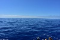 Blick nach Westen - Atlantischer Ozean bis Florida