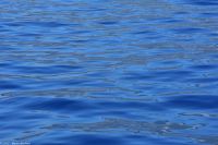 Portugiesische Galeeren 