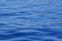 Portugiesische Galeeren 