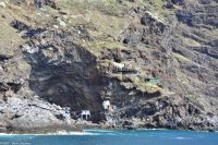Whale Watching Tour - Piratennest - Cueva de Candelaria