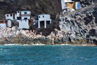 Whale Watching Tour - Piratennest - Cueva de Candelaria