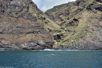 Whale Watching Tour - Piratennest - Cueva de Candelaria