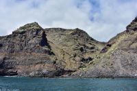 Whale Watching Tour - Piratennest - Cueva de Candelaria