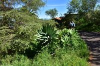 Wanderung im Nordesten - Cueva de Buracas
