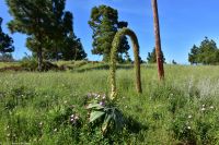 Wanderung im Nordesten - Cueva de Buracas - Schwanemhalsagave