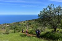 Wanderung im Nordesten - Cueva de Buracas - Mandelbaumgärten