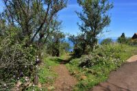 Wanderung im Nordesten - Cueva de Buracas