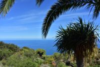 Wanderung im Nordesten - Cueva de Buracas