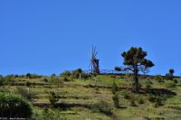 Wanderung im Nordesten - Cueva de Buracas - Gofio-Mühle