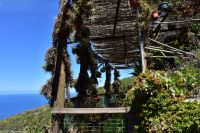 Wanderung im Nordesten - Cueva de Buracas