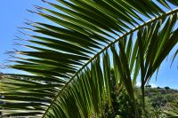 Wanderung im Nordesten - Cueva de Buracas